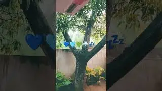 Rainy season again. 