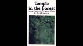 David Naegele - Temple in the Forest (Side A)