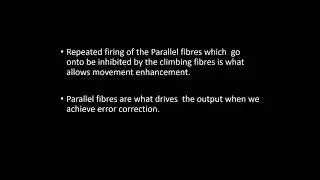 Cerebellum. How does it work in relation to movement?