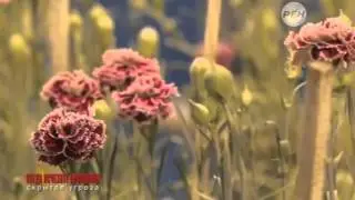 Скрытая угроза от 30 12 14   Когда исчезнут блондинки HD