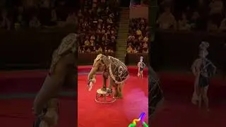 С девочкой в хоботе