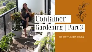 How to make an urban balcony garden | PART 3: The reveal of our small space patio garden