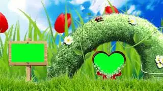 Green Screen Home New Wedding Videos Free Download For Use Green Screen Home Wedding Video 2019 08