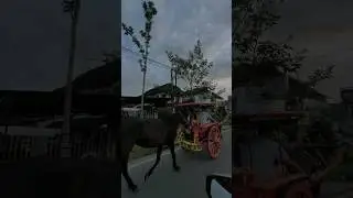 NARIK KUDA DENGAN KUDA BENDI #viral #naikkuda #kudacepat #kudapacu