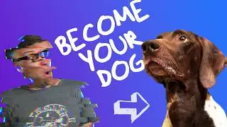 Transform Into Your Dog in OBS (Live Glitch Effect Tutorial)