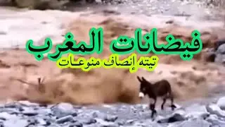 مرعبةفيضانات طوفان السيول بعض الدواويرانقطعت أخبارهم#فيضانات#المغرب#الجزائر #امطار#المغرب#شتاء2024٤