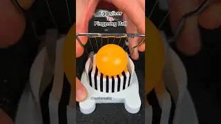 Will the egg slicer survive? 😳😂