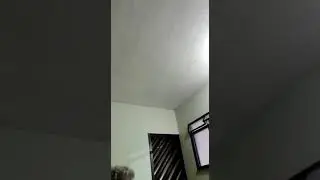 teodoro e sampaio beijo do adeus cover