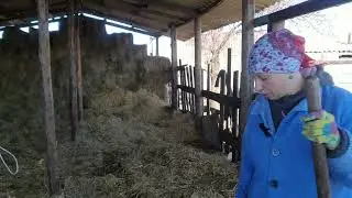 Не успели появится,как опять исчезли