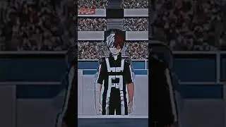 MHA [Shoto Todoroki]