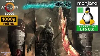 Metal Gear Rising: Revengeance (Linux) | Athlon 3000G Vega 3 | 1080p