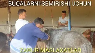 FOYDALI MASLAXATLAR