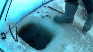 рыбалка на амуре 25.02.24