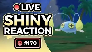 THE FASTEST SHINY! Shiny Living Dex Reactions! #23 - Chinchou