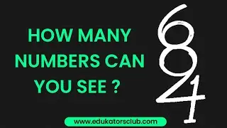 How many numbers can you see puzzle?