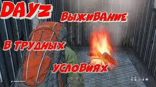 DayZ