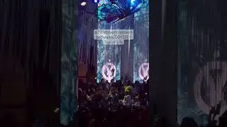 Фестиваль ODYSSEY Tree of life, Петербург 20.07.24