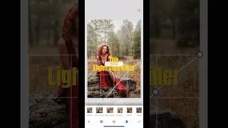 Google Snapseed:  Switch From Lightroom? Would you ?