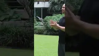 Tai Chi Master Adam Mizner explains the importance of Release 