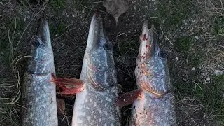 Рыбалка Астана Воспоминание 2018