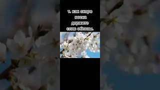 слив обновы Реал Лайф. 