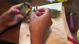 Oyster Huîtres abriendo mis Ostras con Perla de los deseos