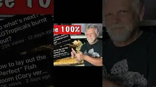 Leave YouTube… A Clip from My Most Recent Video #shorts #fish #fishtank