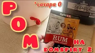 Rum from cane molasses for home-distilled spirits.