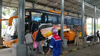 COMPLETE BUS INFORMATION AT DUMAI TERMINAL || Information on Ticket Prices and Bus Departure Sche...
