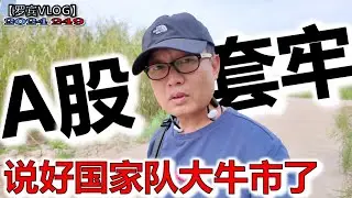 说好中国A股牛市给股民发钱的了？我的投资亏损45%，这就是个骗子满天飞市场！【罗宾VLOG】