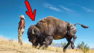 Playing with BUFFALO Attack Controls in Red Dad Redemption 2 PC
