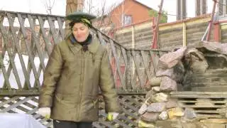 Сад   День за Днем