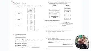 Q1 Teacher guided trilogy FT exam Q 1