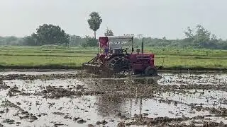 #paddyfields #ritu #cultivation #tractorvideo