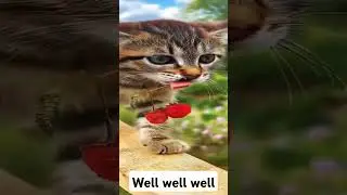 эдит с котиком делал сам #рекомендации #реки #рекомендации #кот#cat