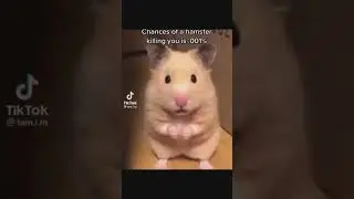 UNUSUAL RANDOM MEMES COMPILATION V55  #memes #shorts