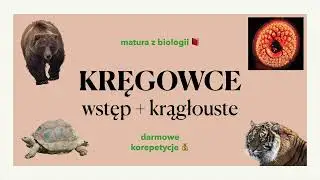 #28 - Kręgowce - wstęp + krągłouste - budowa, charakterystyka 🐈🦚🐒 matura z biologii 📕 liceum