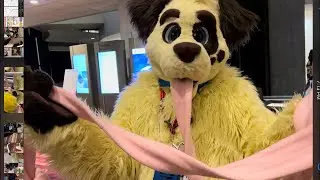 Poking Furries Furry Weekend Atlanta LIVE 2023