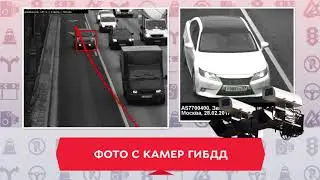 Официальная база ГИБДД на смартфоне. Фото с камер ГИБДД