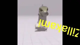 rapper  zillami