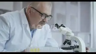 Male Research Scientist. He Sitting in a High-End Modern Laboratory with Beakers, Glassware | St...