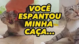 Tio Márcio espantou a caça de Hannah e ela ficou muito, mas muito brava...