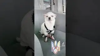Хорошего дня
