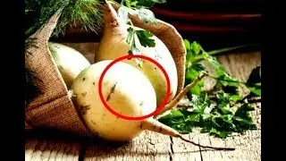 Дедовский метод! Потенция у мужчин с этим плодом, будет как у...! 
