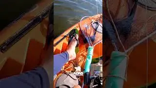 Se o problema é dinheiro , então não tenho problema