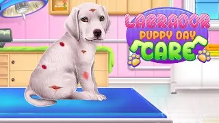 Labrador Puppy Day Care