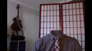 Zoom Green Screen Challenge