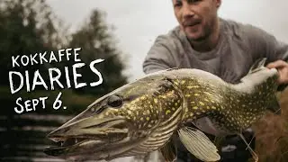 Revisiting the Monster Pike.