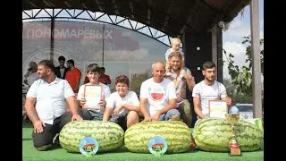 Вкусный летний арбуз попался