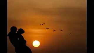 Relaxing music healing music meditation music spa music deep sleep piano